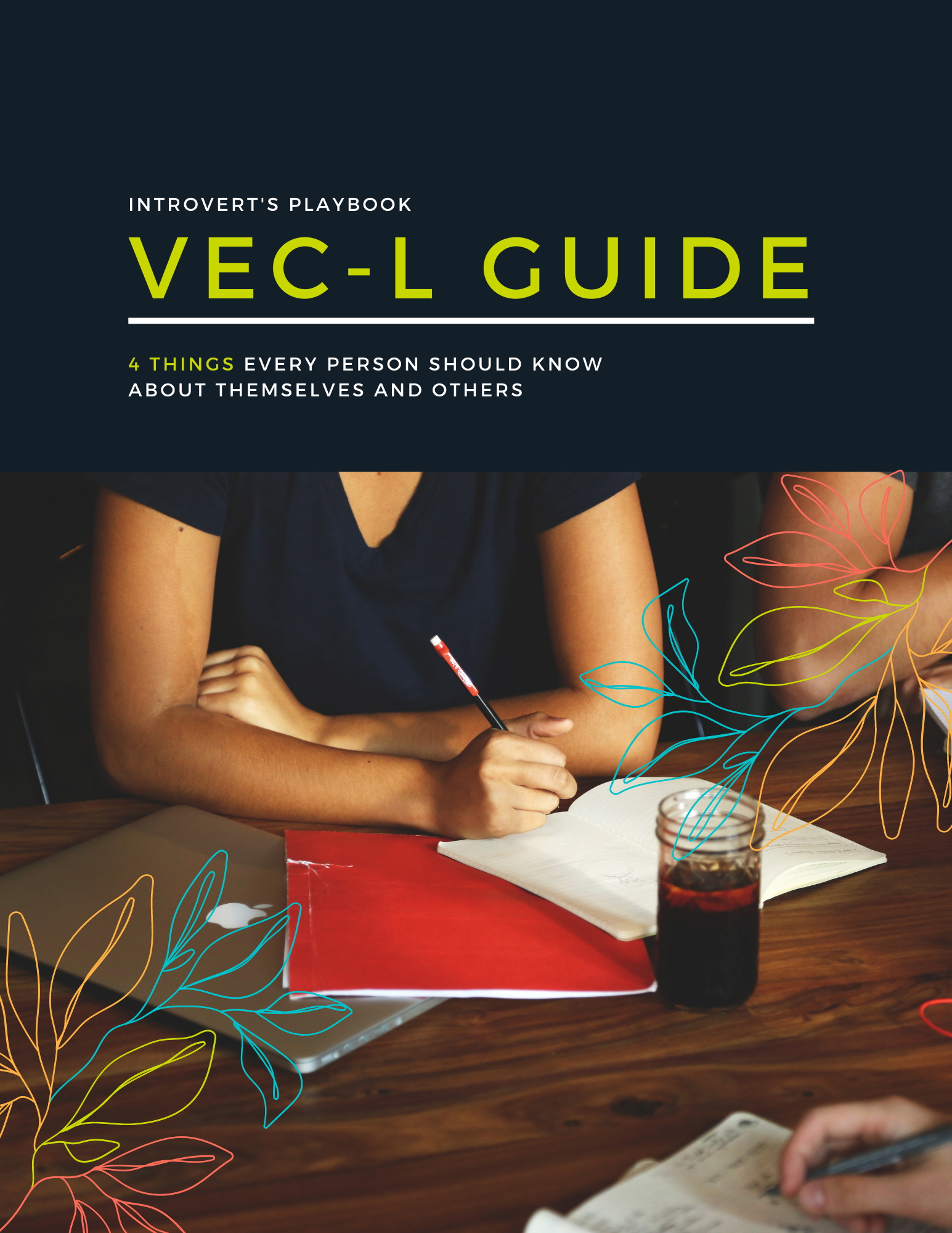 VEC-L Guide